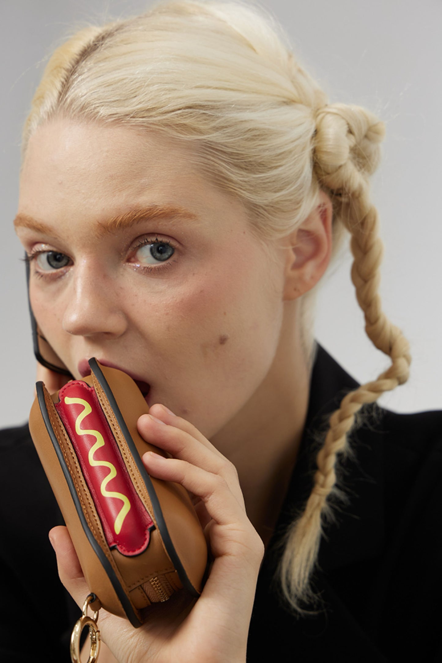 Gourmet Hotdog Mini Bag